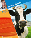 bovine mastitis brochure