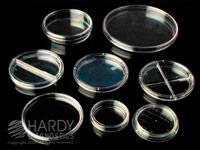 college microbiology petri plates