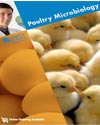 poultry microbiology