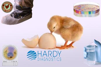 poultry microbiology products