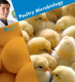 poultry microbiology brochure